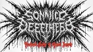 Sonic Desecration - 2025 - Fractured Chains of Eternal Despair - Noise Metal - Extreme Metal Brutal