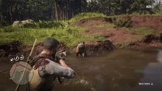 Red Dead Redemption 2 -Florida panther