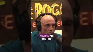 Why most cops have PTSD