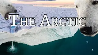 Arctic Svalbard 4K: A Relaxing Journey Through Frozen Landscape 🌌❄️ | Ambient Music and Wildlife