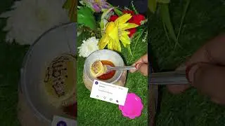 Part 76 Panipuri miniature food #shorts #panipuri #miniature #asmr
