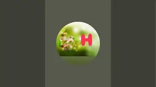 Heeva creation is live