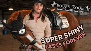 Equestrian Treasures - Unique Horse Tack