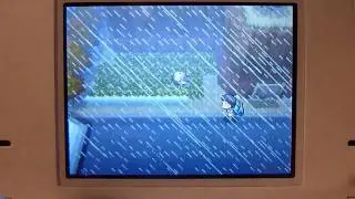 Pokemon Black and White Shiny Hunting