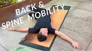 Spine Mobility ~ 2 somatic movements for back pain. SMFs: Somatic Moving Twist and Arch & Flatten