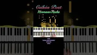 ②Csik&oacute;s Post Hermann Necke From 