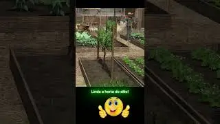 Linda horta aqui no s&iacute;tio! #farmingsimulator25 #fs25gameplay #humor #memes #humor