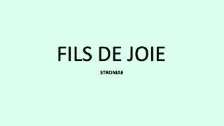FILS DE JOIE - Stromae  (French English lyrics)
