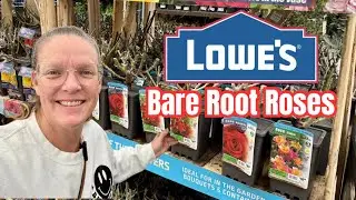 🌹 Розы с открытой корневой системой от Lowe’s: выгодная ли это покупка? Цены, качество и сорта.