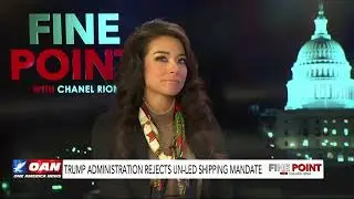 Darren Nelson on Fine Point with Chanel Rion, OAN