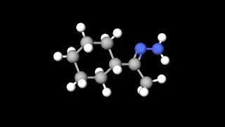 Wolff-Kishner Reduction (Amazing mechanism!)