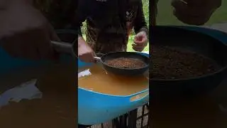 I Used a Frying Pan to Pan for Gold #goldpanning