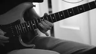 Dance me to the end of love - guitar cover