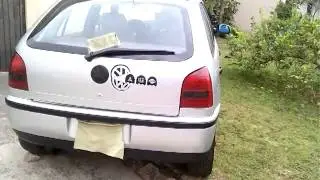 Mi pointer 2002