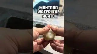 Waterline Montana Monday! #crystals #agate #gemstones #treasurestate