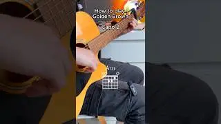 Golden Brown - Acoustic guitar tutorial + cover