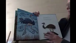 Story Time with lola