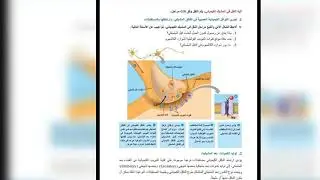 بكالوريا علوم النقل في الأعصاب (2)