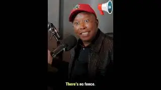 What Would The Consequences Of A Borderless Continent Be? JULIUS MALEMA