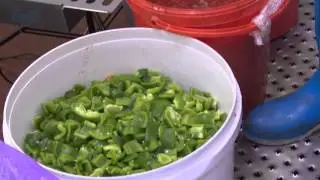 DC Norris Cook Chill System
