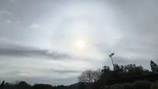 Spectacular Solar Halo (22 Degree Halo) Spotted in the Bay Area - 01/20/2026