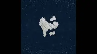 PYO - 전하고싶어 (I want to convey )