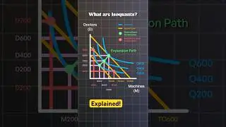 Isoquants Explained: A Healthcare Example