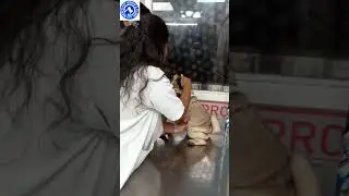 NIKKI'S PET WORLD- PET SHOP | PET GROOMING SPA | VET CARE | PET CLINIC  | PET KENNELS - HYDERABAD