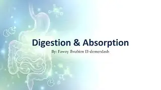 Digestion & Absorption – Introduction | Biochemistry (GIT)