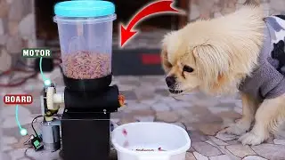 Como HACER un COMEDOR AUTOMÁTICO para MASCOTAS con POCOS Componentes || fácil DIY