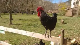 MOLI DE CAN SOLA-CASA RURAL  2023