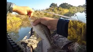 NED RIG fishing on a Kayak ft. Uncle Mark