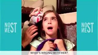 Eh Bee Best Vines (FUNNY Vine Compilation 2014)