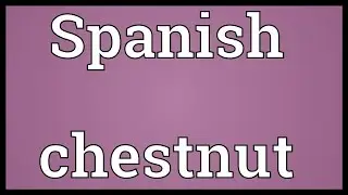 Spanish chestnut Meaning