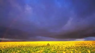 Archetek ft. Sodie - Soar