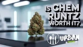Chem Runtz Strain: What Do the Cannabis Experts Think?