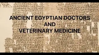 Ancient Egyptian Doctors and Veterinary Medicine