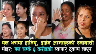Paul Shah झापा हानिए, दर्जन आमाहरुको रुवाबासी | Mohar Public Review Boxoffice Collection ?