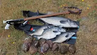 Spearfishing, Cape Palliser, New Zealand