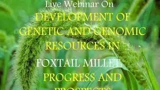 Live webinar on Development of genetic and genomic resources in foxtail millet