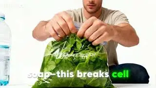 How You Can Extract Plant DNA At Home In 5 Mins