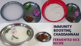 Chaddannam | Immunity Booster | Traditional Fermented Rice | ProBiotic Curd Rice | #Shorts