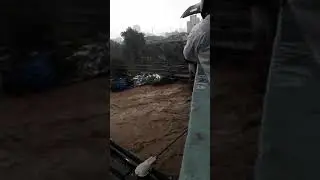 Dahisar river 2017