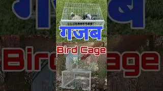 #chinese #birdcage #shorts
