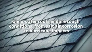 Veterans National Property Services: Your Trusted Roofing Company in Clearwater, FL