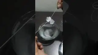 Experiement with ice cube using thread #ytshorts #science #experiment #icecube #magic