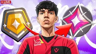 🔴WAYLAY ONLY TO IMMORTAL ???? | GOLD TO IMMORTAL DAY 22 | Chill Stream🧿