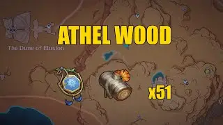 Athel Wood | Farming Route - Genshin Impact