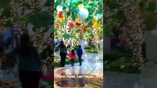 Wynn Hotel Las Vegas highlight