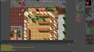 Tibia Estela Gendo the bigges polish noob dead 2x and drop BP